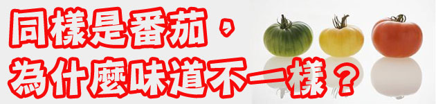 同樣是番茄，為什麼味道不一樣？