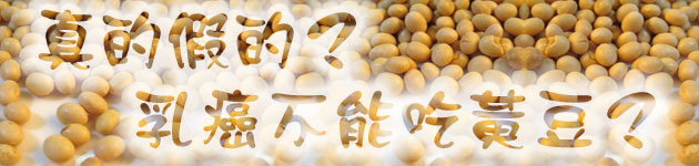 真的假的？乳癌不能吃黃豆？