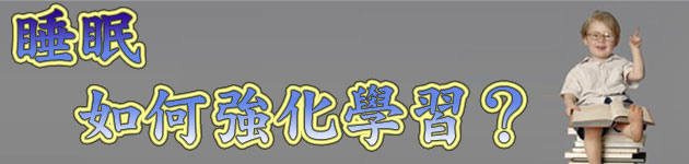 睡眠如何強化學習?