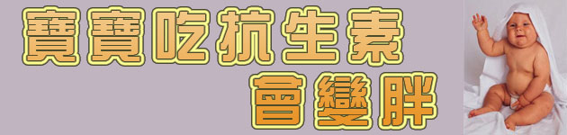 寶寶吃抗生素 會變胖