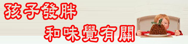 孩子發胖 和味覺有關