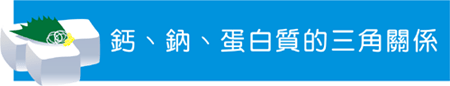 鈣、鈉、蛋白質的三角關係