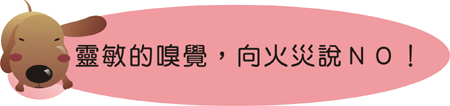 靈敏的嗅覺,向火災說NO!