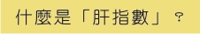 什麼是「肝指數」？