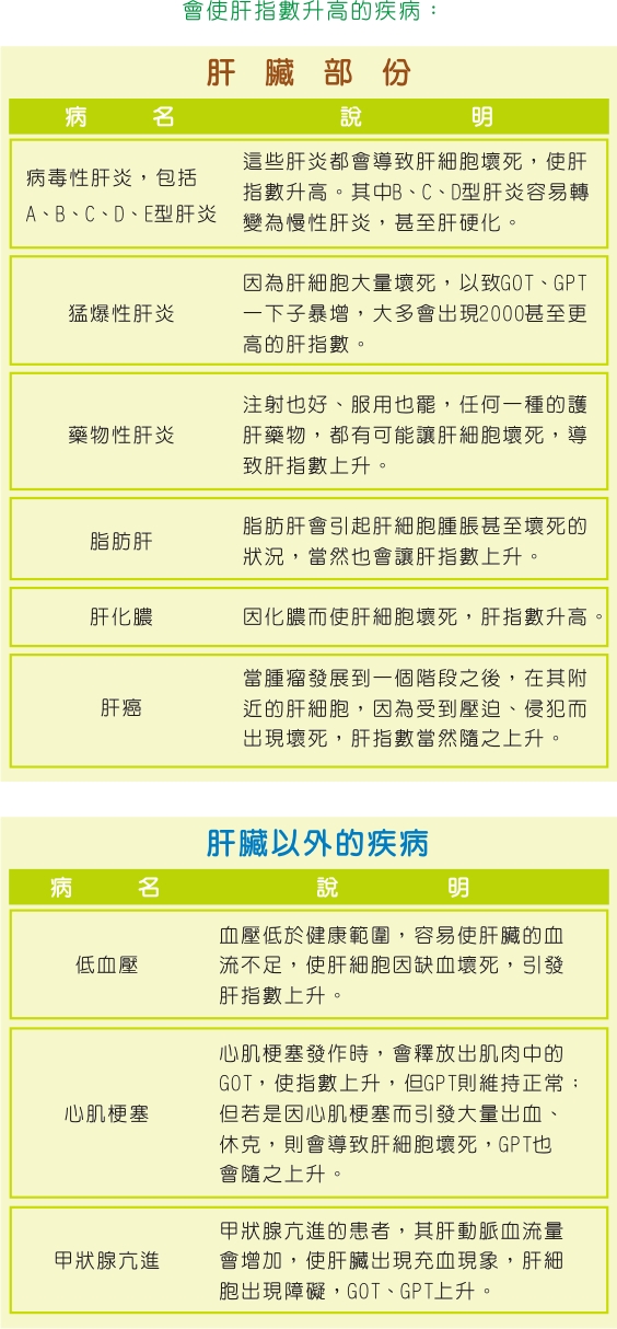 會使肝指數升高的疾病：