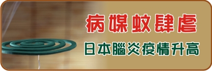 病媒蚊肆虐 日本腦炎疫情升高