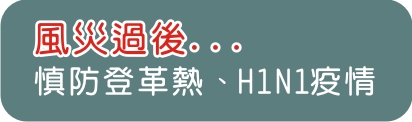 風災過後 慎防登革熱、H1N1疫情