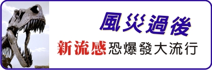 風災過後  新流感恐爆發大流行