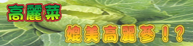 高麗菜 媲美高麗參！