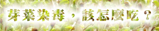 芽菜染毒,該怎麼吃?