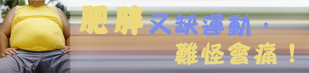 肥胖又缺運動,難怪會痛!